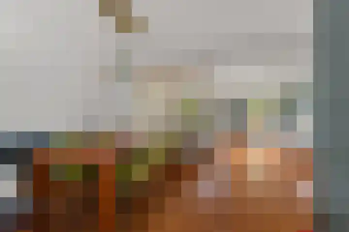 Schaapsdrift 50 Arnhem thumbnail 12