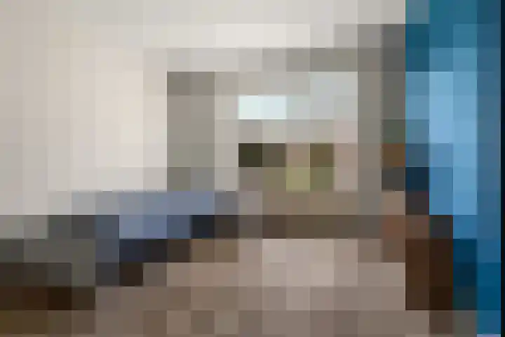 Schaapsdrift 50 Arnhem thumbnail 18