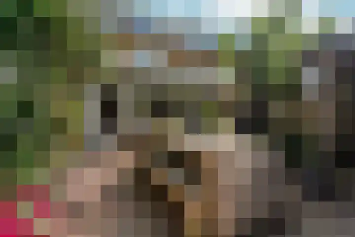 Schaapsdrift 50 Arnhem thumbnail 36