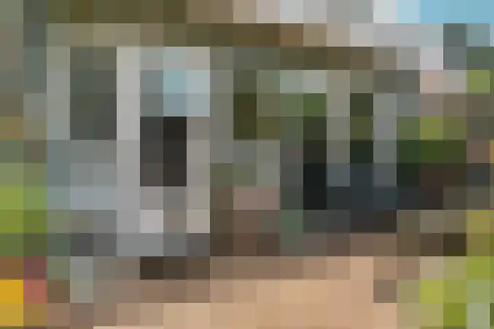 Schaapsdrift 50 Arnhem thumbnail 39