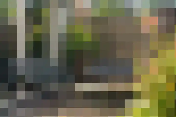 Schaapsdrift 50 Arnhem thumbnail 40