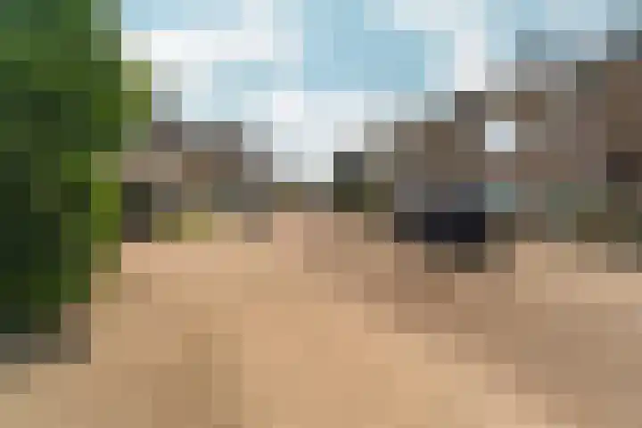 Schaapsdrift 50 Arnhem thumbnail 49