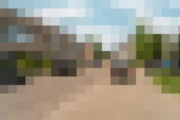 Schaapsdrift 50 Arnhem thumbnail 50