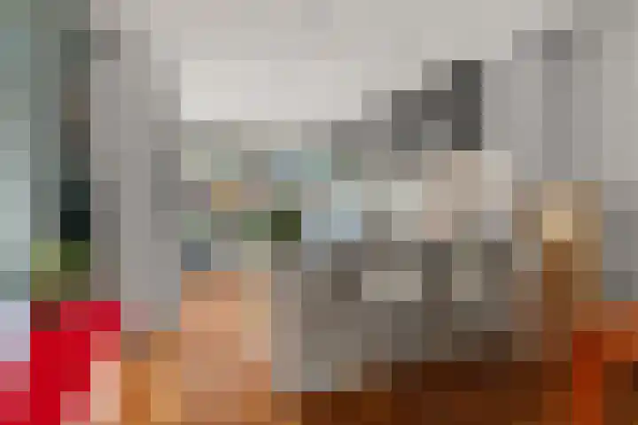 Schaapsdrift 50 Arnhem thumbnail 8