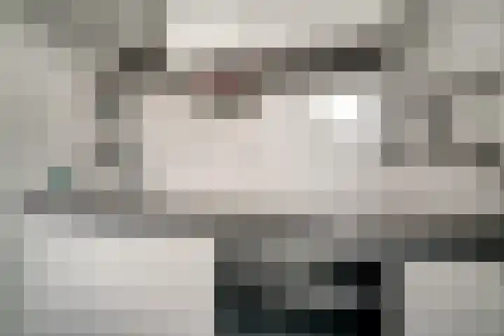 Schaapsdrift 59 Arnhem thumbnail 18