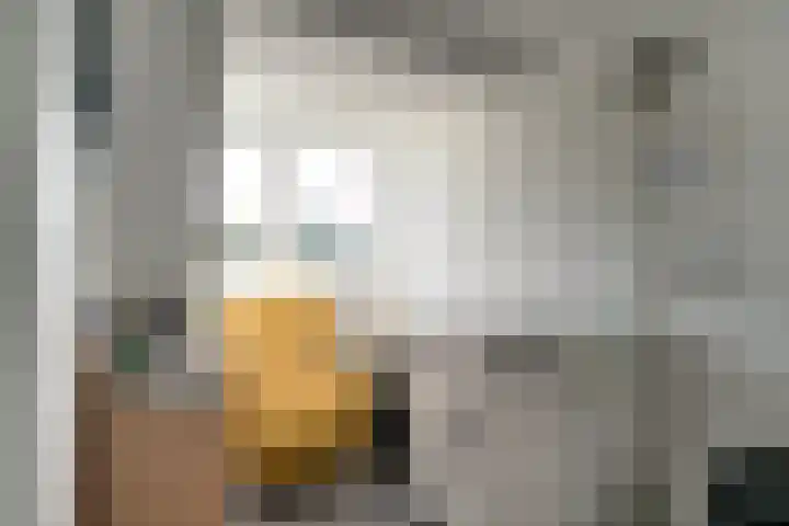 Schaapsdrift 59 Arnhem thumbnail 28