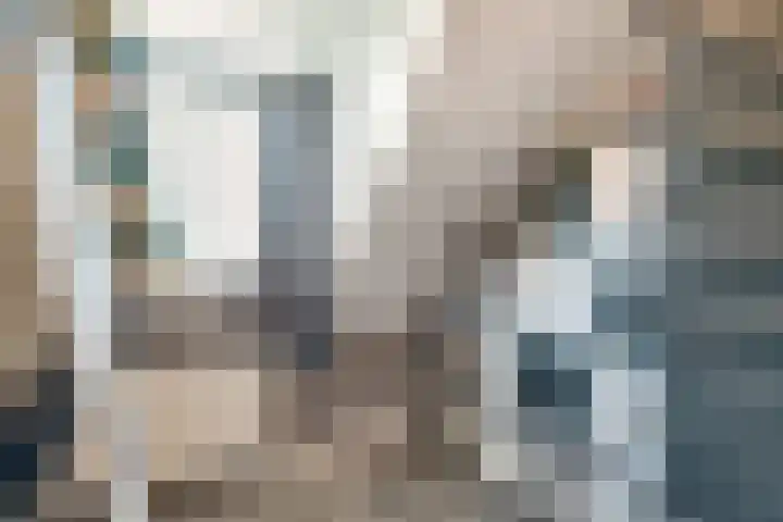 Schaapsdrift 59 Arnhem thumbnail 32