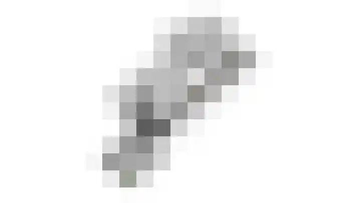 Schaapsdrift 59 Arnhem thumbnail 44