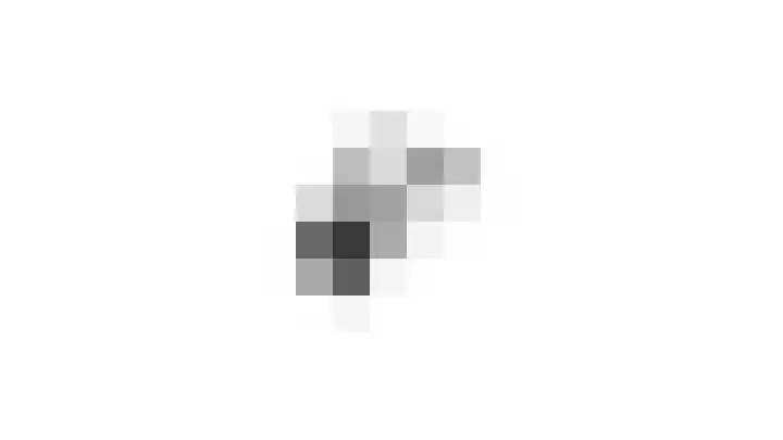 Schaapsdrift 59 Arnhem thumbnail 51
