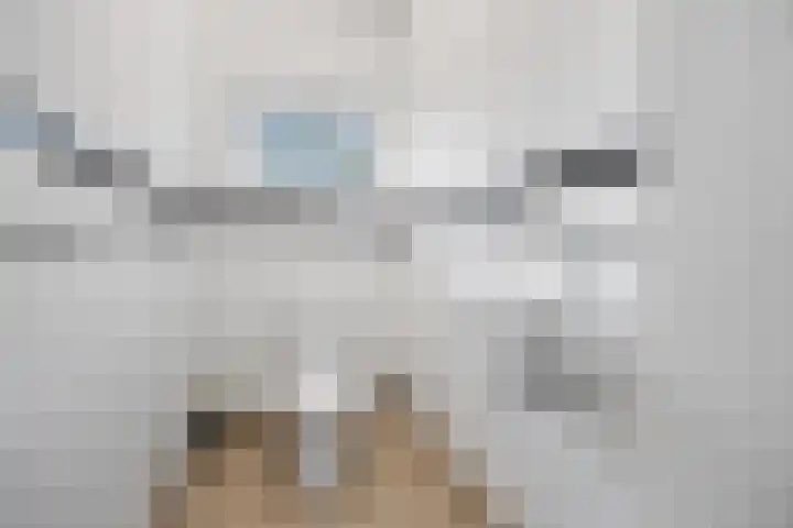 Schaapsdrift 6 Doorwerth thumbnail 10