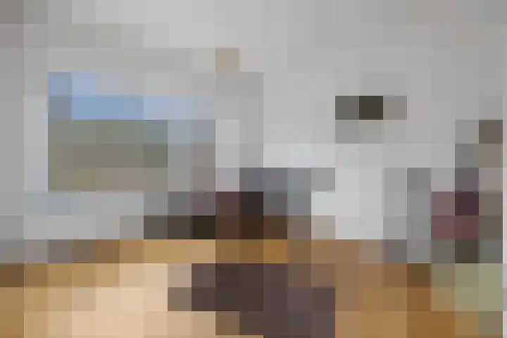 Schaapsdrift 6 Doorwerth thumbnail 11