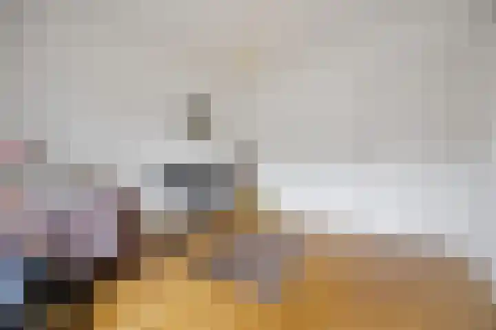 Schaapsdrift 6 Doorwerth thumbnail 12
