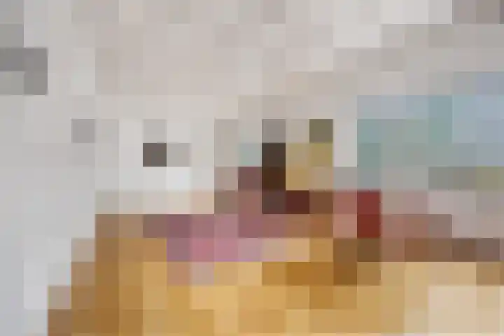 Schaapsdrift 6 Doorwerth thumbnail 17