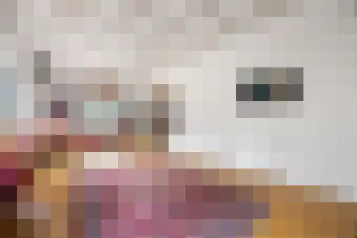 Schaapsdrift 6 Doorwerth thumbnail 18