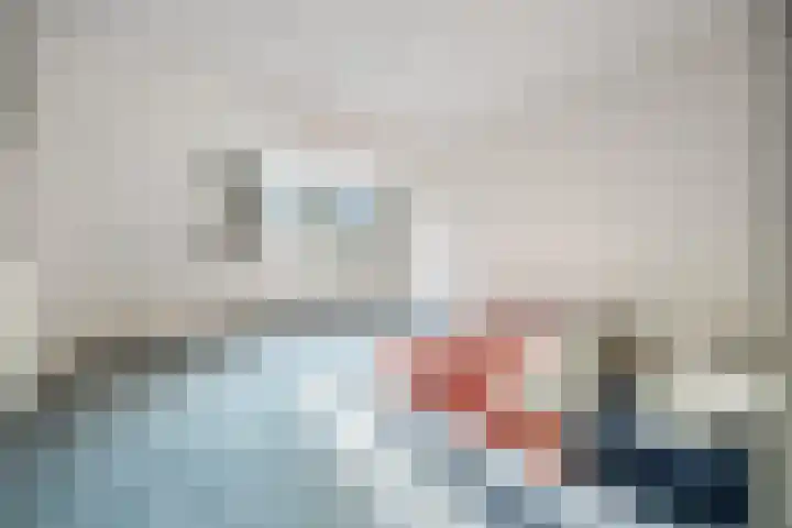 Schaapsdrift 6 Doorwerth thumbnail 33