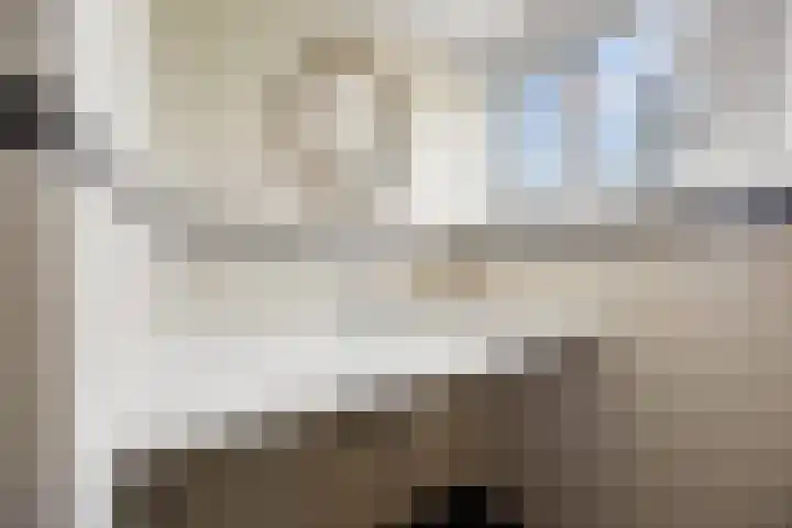 Schaapsdrift 6 Doorwerth thumbnail 46