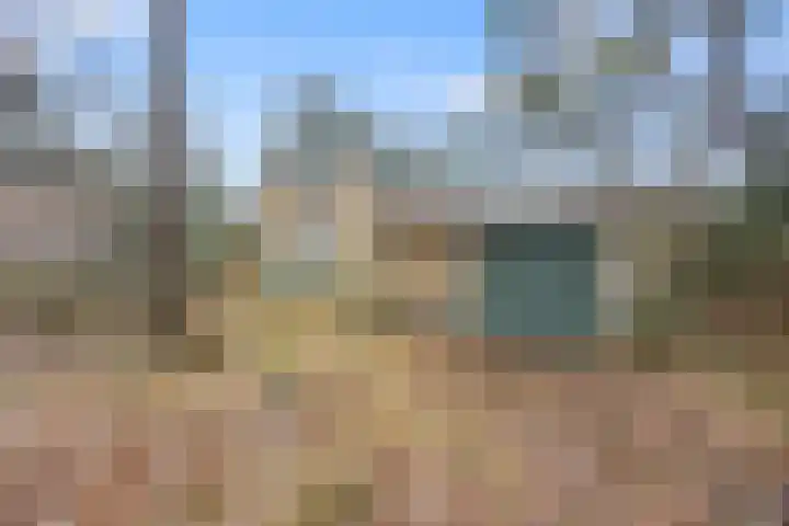 Schaapsdrift 6 Doorwerth thumbnail 49