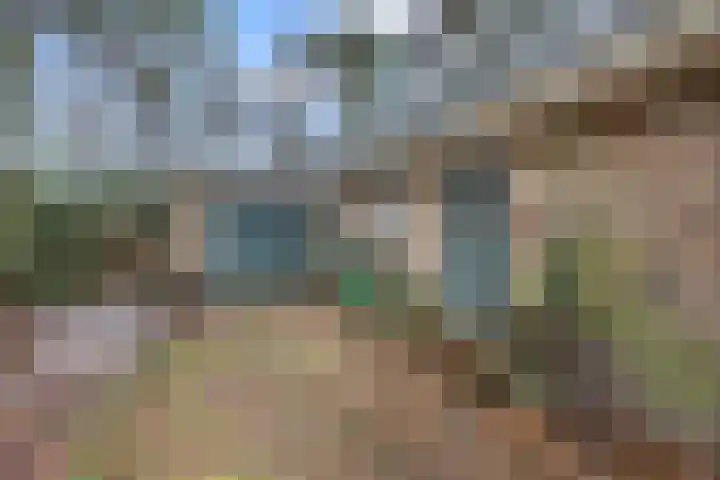 Schaapsdrift 6 Doorwerth thumbnail 5