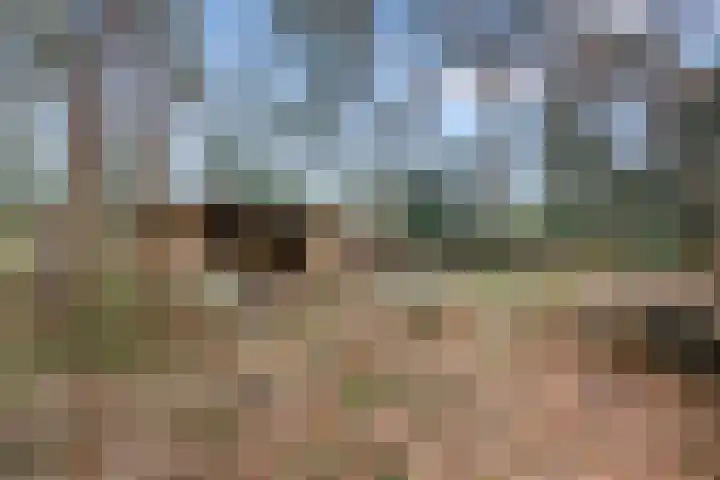 Schaapsdrift 6 Doorwerth thumbnail 51