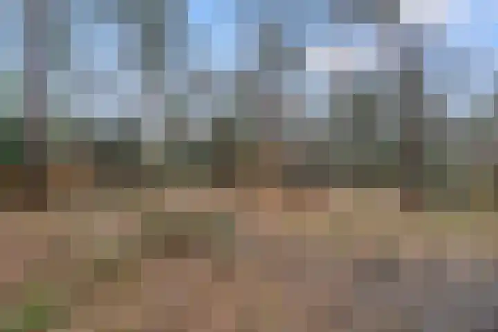 Schaapsdrift 6 Doorwerth thumbnail 53