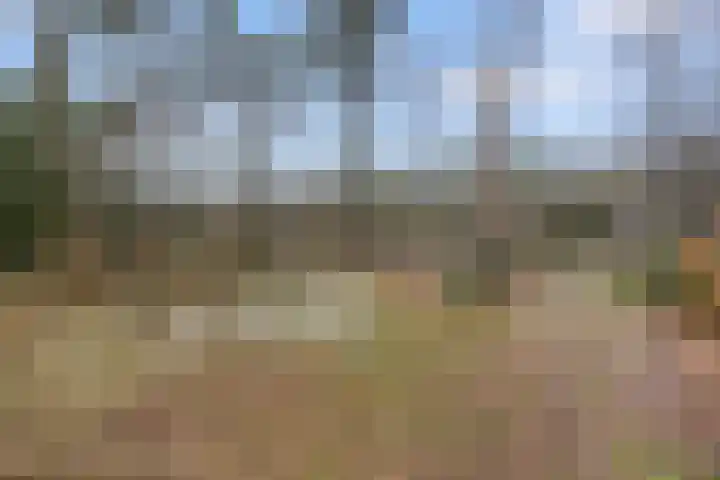 Schaapsdrift 6 Doorwerth thumbnail 54