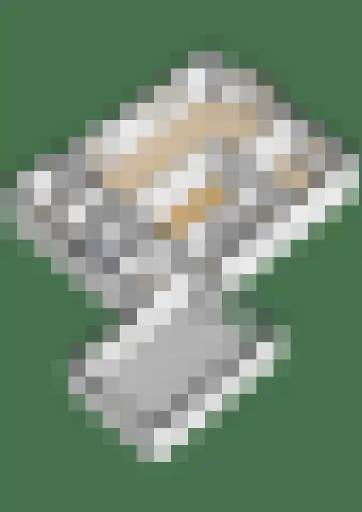 Schaapsdrift 6 Doorwerth thumbnail 58