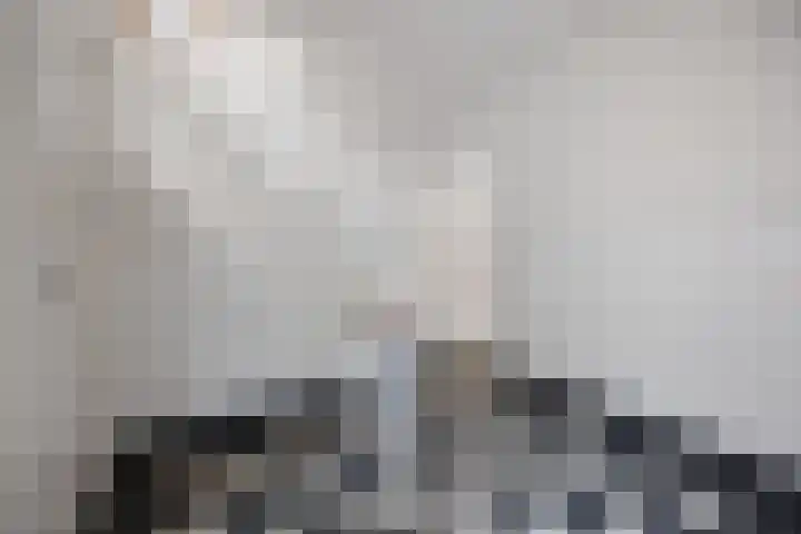 Schaapsdrift 6 Doorwerth thumbnail 9