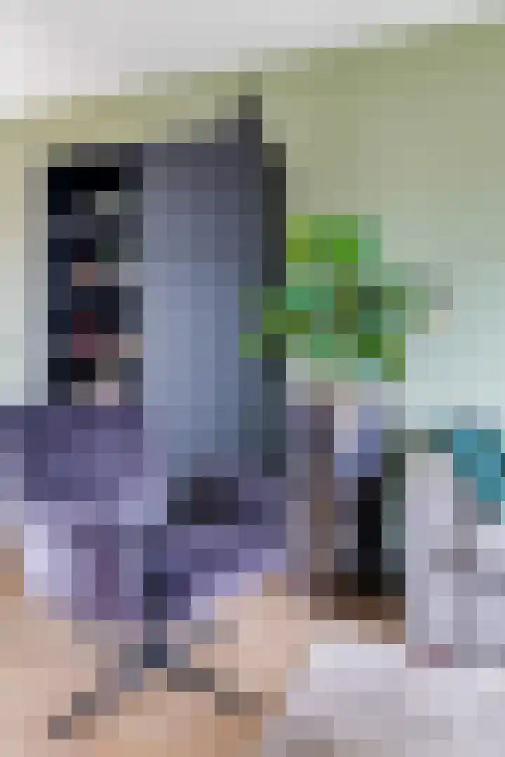 Schaapsdrift 68 Zevenaar thumbnail 10