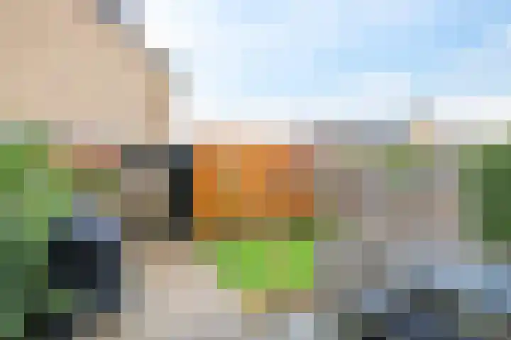 Schaapsdrift 68 Zevenaar thumbnail 39