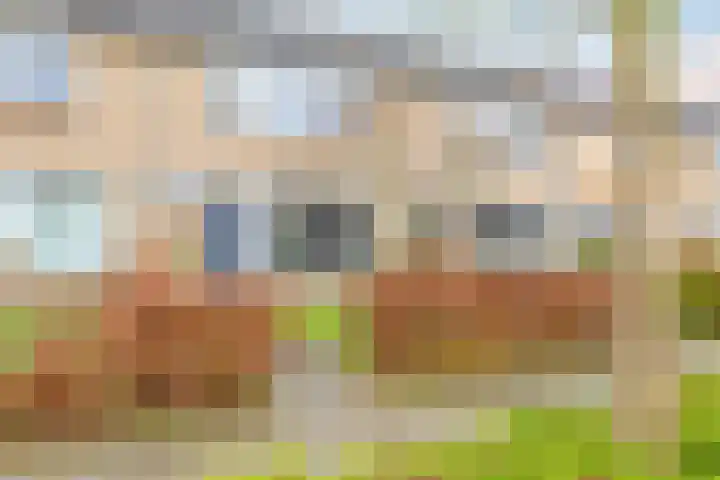 Schaapsdrift 68 Zevenaar thumbnail 4