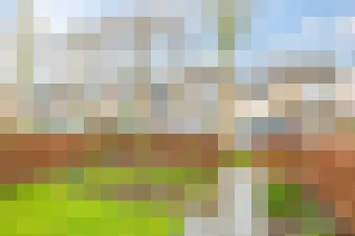 Schaapsdrift 68 Zevenaar thumbnail 43