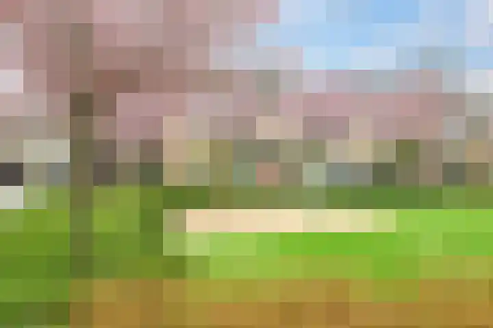 Schaapsdrift 68 Zevenaar thumbnail 47