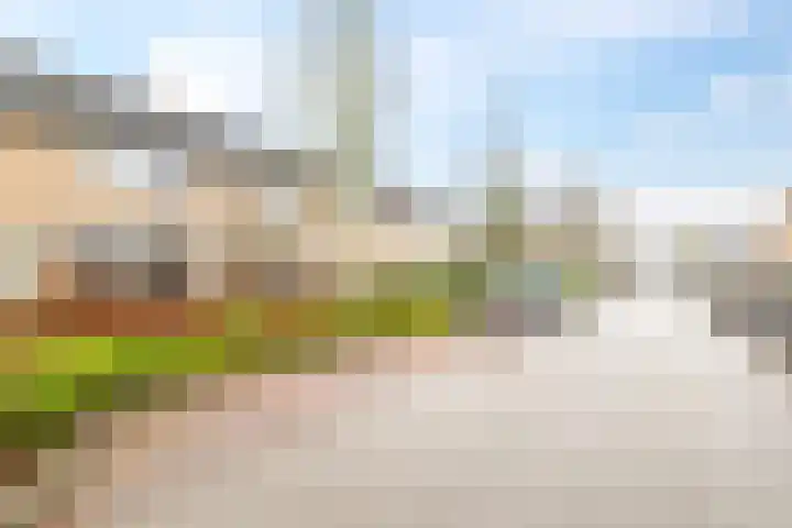 Schaapsdrift 68 Zevenaar thumbnail 48