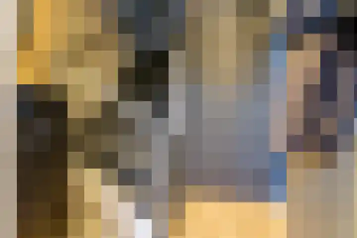 Schaapsdrift 68 Zevenaar thumbnail 6