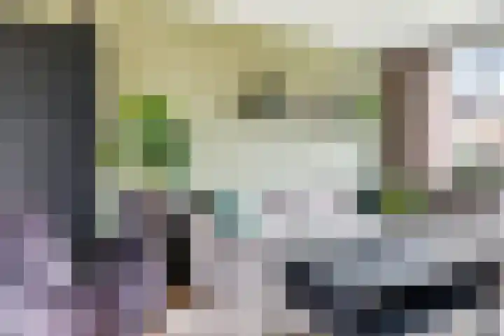 Schaapsdrift 68 Zevenaar thumbnail 8
