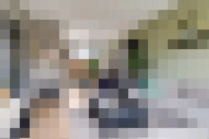 Schaapsdrift 68 Zevenaar thumbnail 9