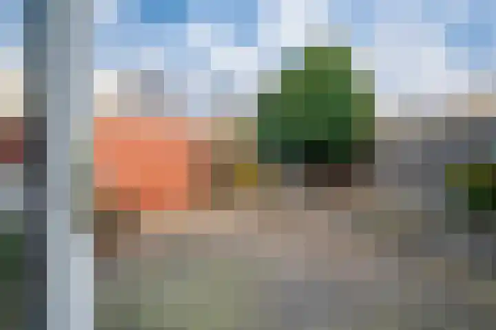Schaapsdrift 76 Zevenaar thumbnail 13