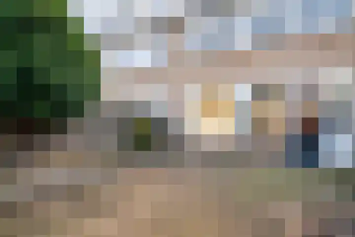Schaapsdrift 76 Zevenaar thumbnail 15