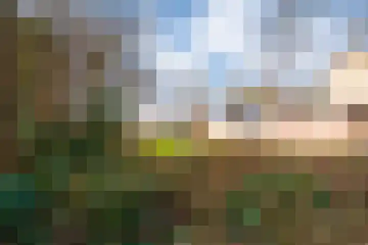 Schaapsdrift 76 Zevenaar thumbnail 36