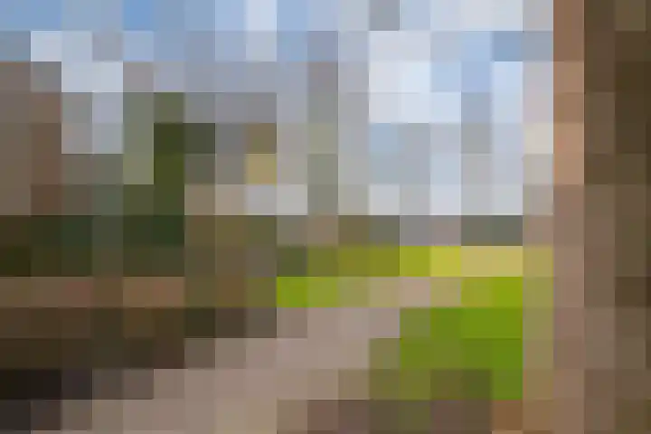 Schaapsdrift 76 Zevenaar thumbnail 37