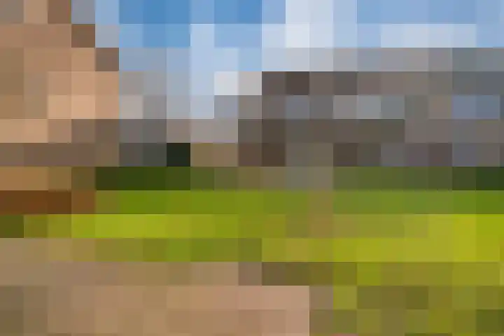 Schaapsdrift 76 Zevenaar thumbnail 5
