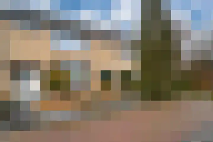 Schaapsdrift 91 Zevenaar