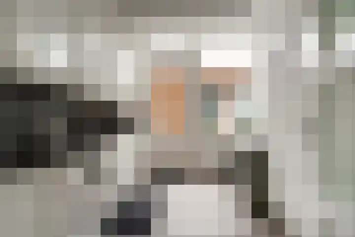Schaapsdrift 91 Zevenaar thumbnail 16
