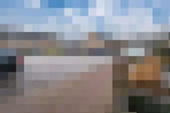 Schaapsdrift 91 Zevenaar thumbnail 8