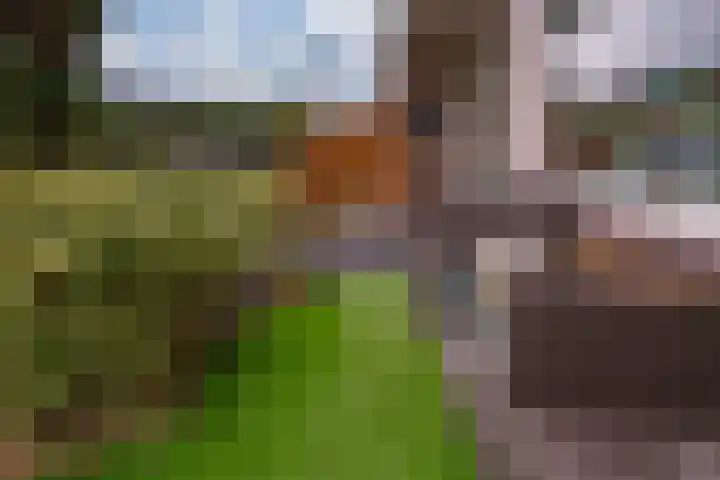 Schaapsdrift 91 Zevenaar thumbnail 9