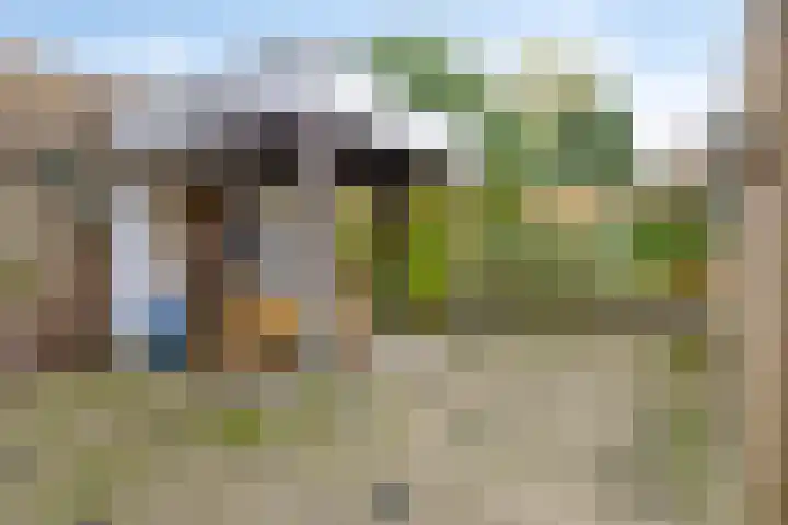 Schaapsdrift Overbeek 19 Velp thumbnail 42
