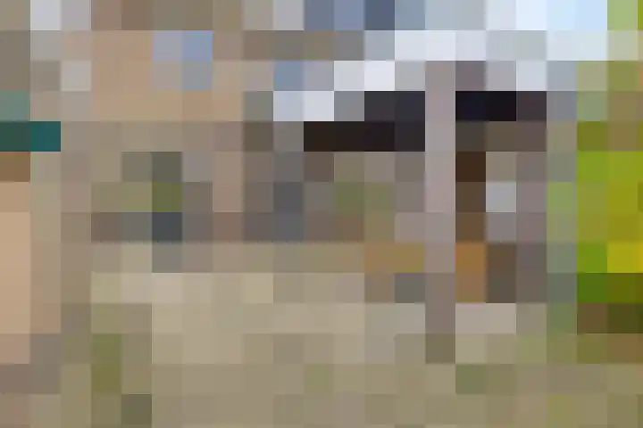 Schaapsdrift Overbeek 19 Velp thumbnail 43