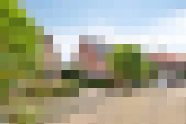 Schaapsdrift Overbeek 19 Velp thumbnail 7