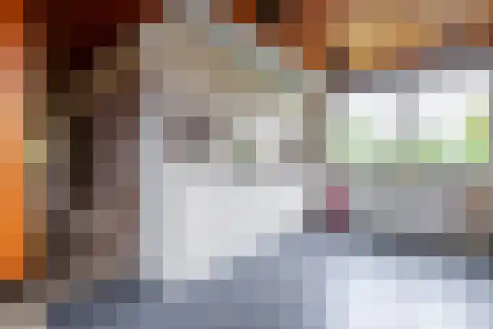 Schaapsheul 3 Gorinchem thumbnail 10