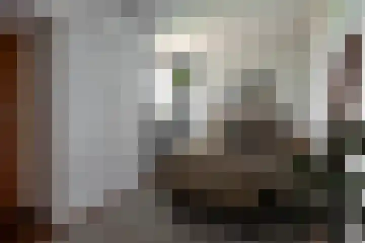 Schaapsheul 3 Gorinchem thumbnail 11